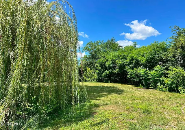 2nd image of 0 Bradford St, Cygnet, OH 43413 | MLS# 10010961