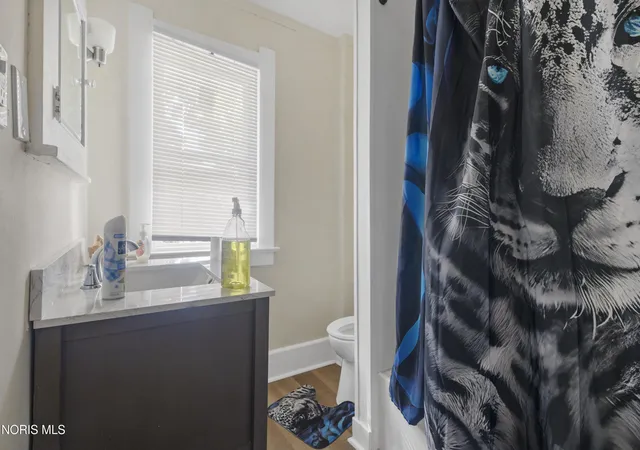 22nd image of 734 Brighton Ave, Toledo, OH 43609 | MLS# 10011555