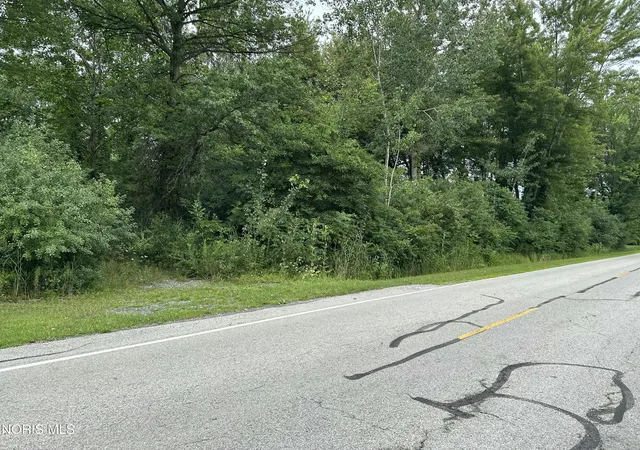 1st image of 290 S Eber Rd, Swanton, OH 43558 | MLS# 10011838