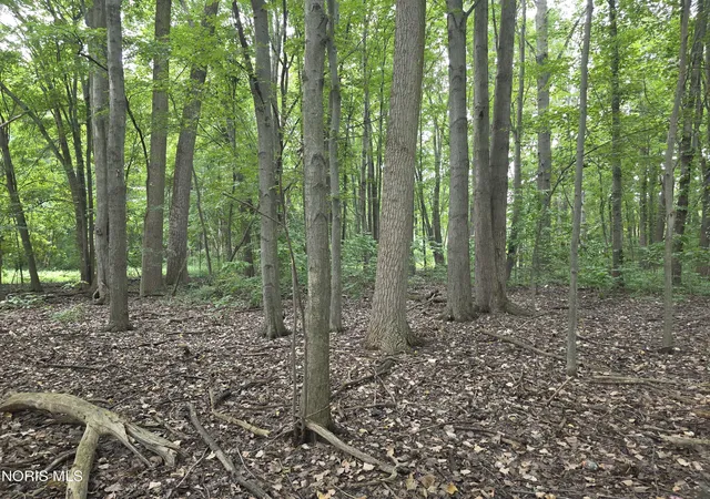 Photo 3 of Land for sale at 9470 Maumee Western Rd, Monclova, OH 43542 | MLS# 10011976 | Listing updated on 2026-09-24