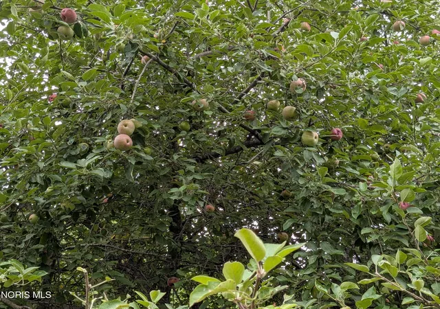 47th image of 21250 Switzer Rd, Defiance, OH 43512 | MLS# 10012140