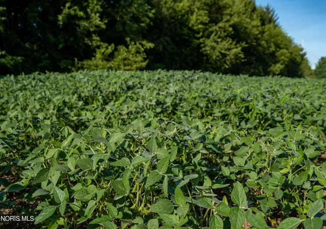 Photo 16 of Land for sale at Co Rd 90, Gibsonburg, OH 43431 | MLS# 10012539 | Listing updated on 2026-09-01