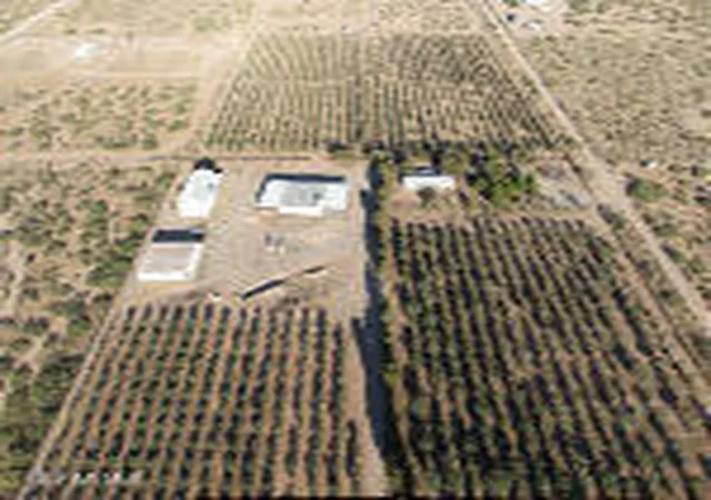 Homes for sale in Chaparral, NM | 2695 Redstone St, Chaparral, NM 88081 | MLS# 906446