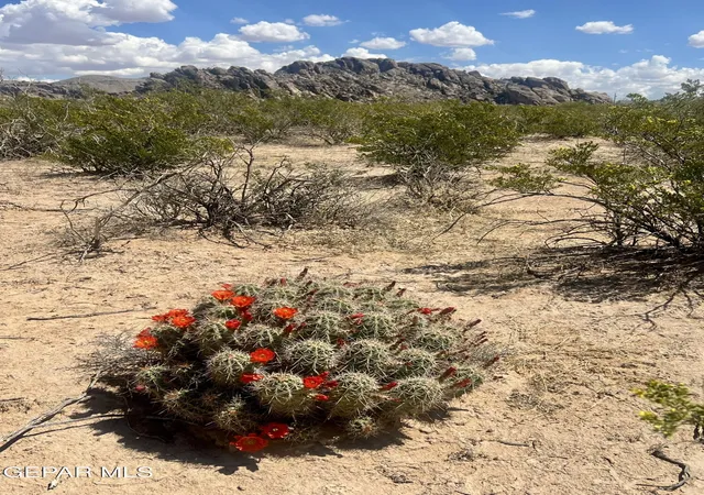 Photo 4 of Land for sale at 17500 Lemuel Cir, El Paso, TX 79938 | MLS# 942016 | Listing updated on 2026-05-29
