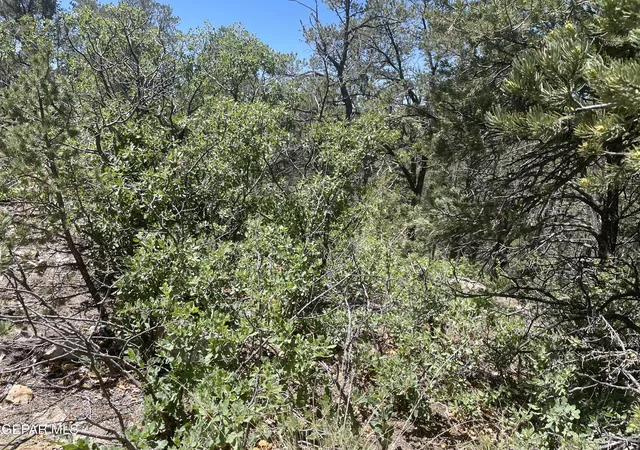 Homes for sale in Timberon, NM | 60 Canyon Rd, Timberon, NM 88350 | MLS# 944140