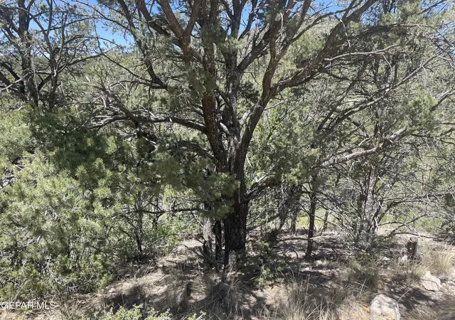 Homes for sale in Timberon, NM | 60 Canyon Rd, Timberon, NM 88350 | MLS# 944140