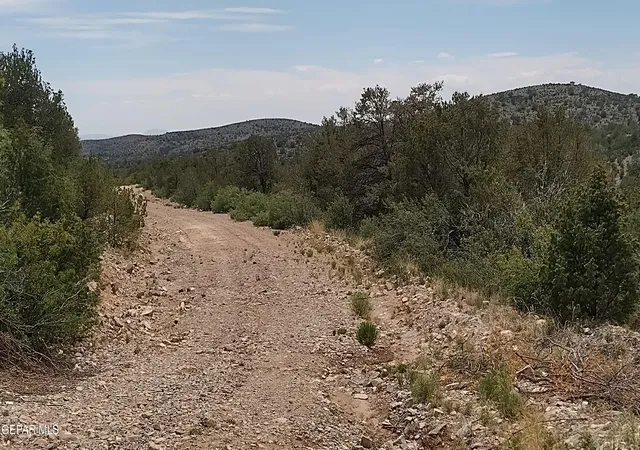 Homes for sale in Timberon, NM | 60 Canyon Rd, Timberon, NM 88350 | MLS# 944140