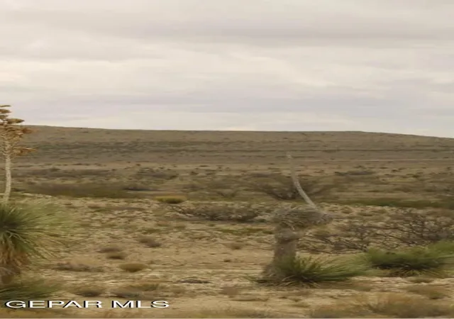 Homes for sale in Sierra Blanca, TX | Tbd Tbd Lot 8 Block 11 Sec 22 Psl, Sierra Blanca, TX 79851 | MLS# 943242