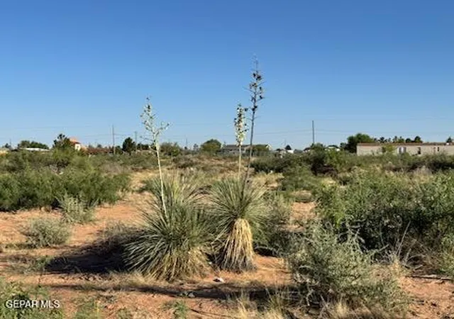 Homes for sale in Chaparral, NM | 905 Oasis Dr, Chaparral, NM 88081 | MLS# 945046
