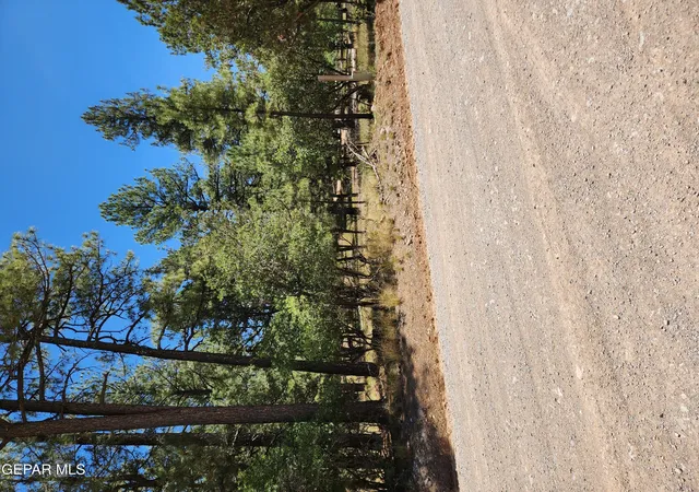 Homes for sale in Timberon, NM | 469 Dixwood Dr, Timberon, NM 88350 | MLS# 947056