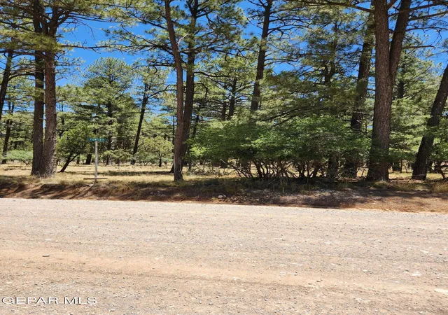 Homes for sale in Timberon, NM | 469 Dixwood Dr, Timberon, NM 88350 | MLS# 947056