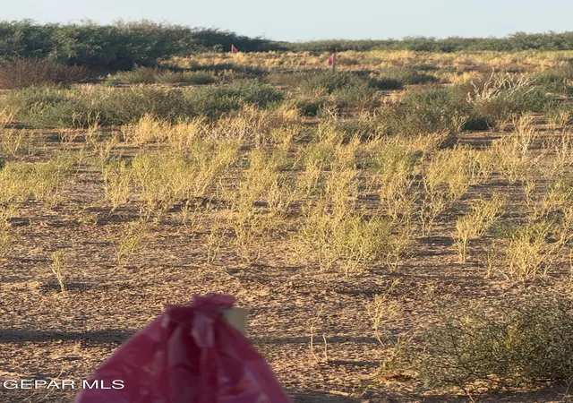 29th image of Pn315542 Abrams Dr, El Paso, TX 79938 | MLS# 947397