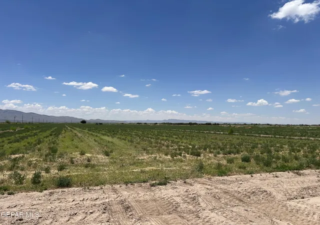 Photo 3 of Land for sale at 37438 Texas 20, Fort Hancock, TX 79839 | MLS# 947514 | Listing updated on 2026-09-04