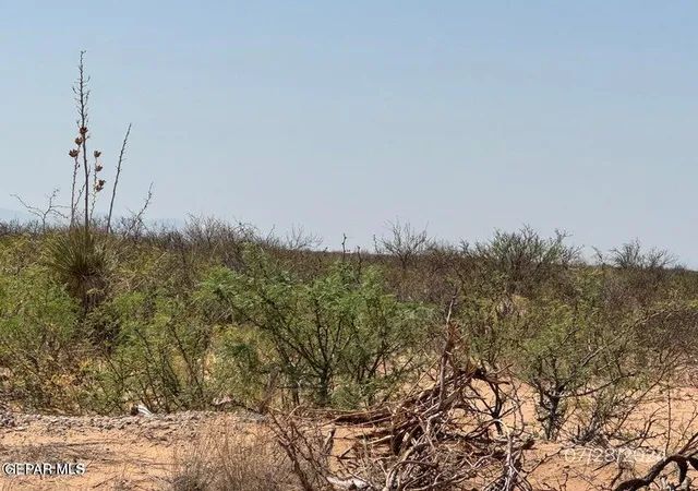 Photo 4 of Land for sale at Pn- 205862 Tbd, El Paso, TX 79928 | MLS# 947988 | Listing updated on 2026-07-21