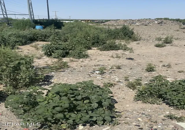 Land for sale at 100 Rainbow Lake Rd, Anthony, TX 79821 | MLS# 949226