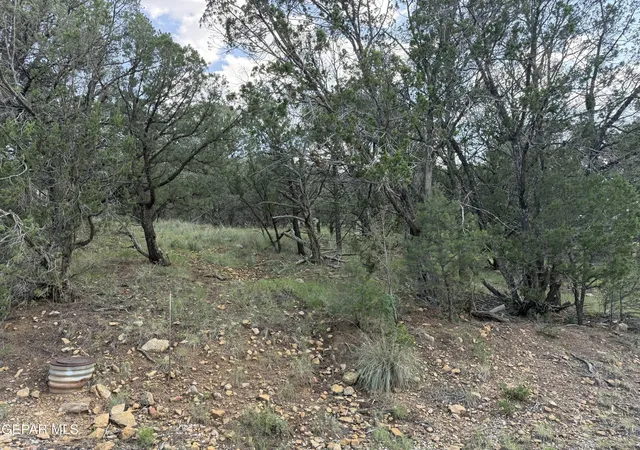1st image of Pn0361738 Tbdchisholm Trail, Ruidoso, NM 88345 | MLS# 949201