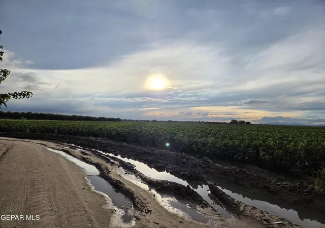 Land for sale at Pn-408280 Alameda, Fabens, TX 79838 | MLS# 952177