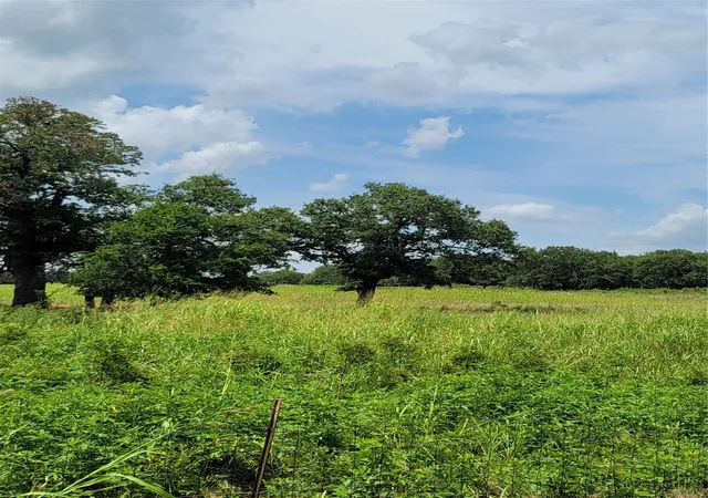 Photo 1 of Land for sale at 00000 Hwy 59 S, Bowie, TX 76230 | MLS# 14626757 | Listing updated on 2026-07-10