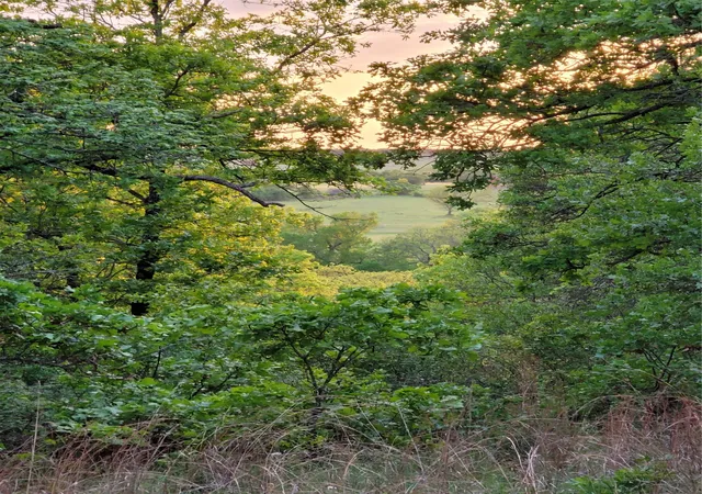 Photo 2 of Land for sale at 00000 Hwy 59 S, Bowie, TX 76230 | MLS# 14626757 | Listing updated on 2026-07-10