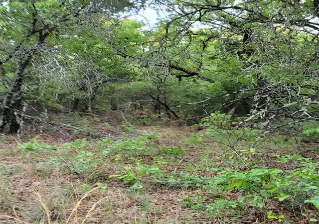 Photo 3 of Land for sale at 00000 Hwy 59 S, Bowie, TX 76230 | MLS# 14626757 | Listing updated on 2026-07-10