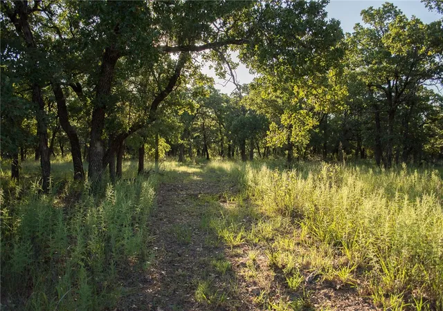 Homes for sale in Gordon, TX | 1020 Post Oak Rd, Gordon, TX 76453 | MLS# 13530255