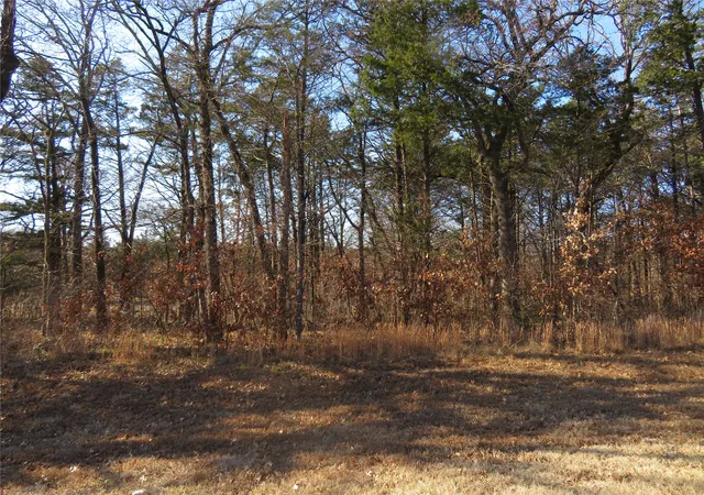 Photo 2 of Land for sale at 3 Annadale Ln, Gordonville, TX 76245 | MLS# 14560330 | Listing updated on 2026-07-17