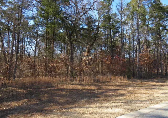 Photo 3 of Land for sale at 3 Annadale Ln, Gordonville, TX 76245 | MLS# 14560330 | Listing updated on 2026-07-17