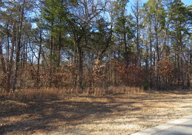 Photo 3 of Land for sale at 3 Annadale Ln, Gordonville, TX 76245 | MLS# 14560330 | Listing updated on 2026-07-17