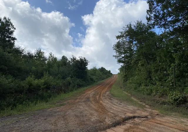 Photo 1 of Land for sale at Tbd County Road 394, Tatum, TX 75691 | MLS# 14667229 | Listing updated on 2026-08-26