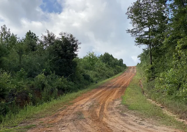Homes for sale in Tatum, TX | Tbd County Road 394, Tatum, TX 75691 | MLS# 14667229