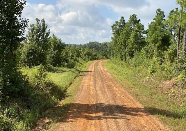 Photo 4 of House for sale at Tbd County Road 394, Tatum, TX 75691 | MLS# 14667229 | Listing updated on 2026-08-26
