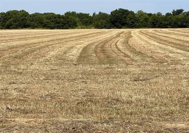 Homes for sale in Collinsville, TX | Lot 5 Rodgers Rd, Collinsville, TX 76233 | MLS# 20066049