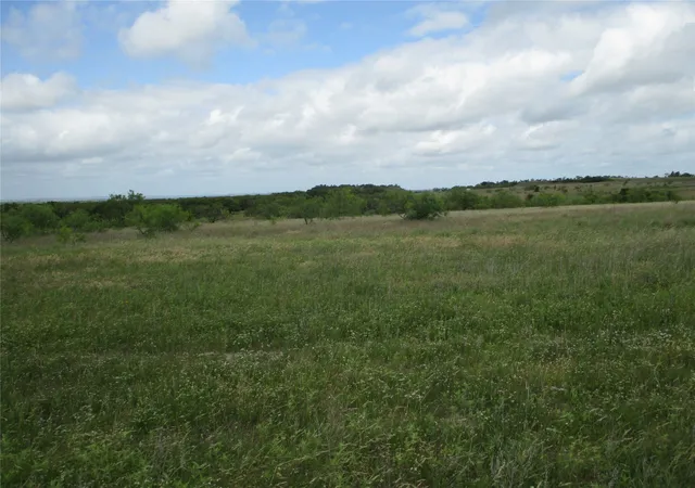 Homes for sale in Perrin, TX | 13 Ac Elenburg Rd, Perrin, TX 76486 | MLS# 20086744