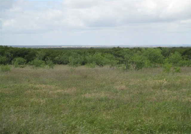 Homes for sale in Perrin, TX | 13 Ac Elenburg Rd, Perrin, TX 76486 | MLS# 20086744