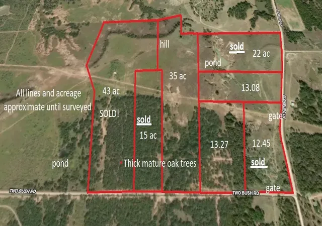 Homes for sale in Perrin, TX | 13 Ac Elenburg Rd, Perrin, TX 76486 | MLS# 20086744