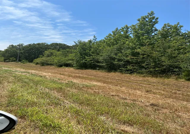 Photo 2 of Land for sale at 000 Fm 3042, Pittsburg, TX 75686 | MLS# 20117406 | Listing updated on 2026-07-21