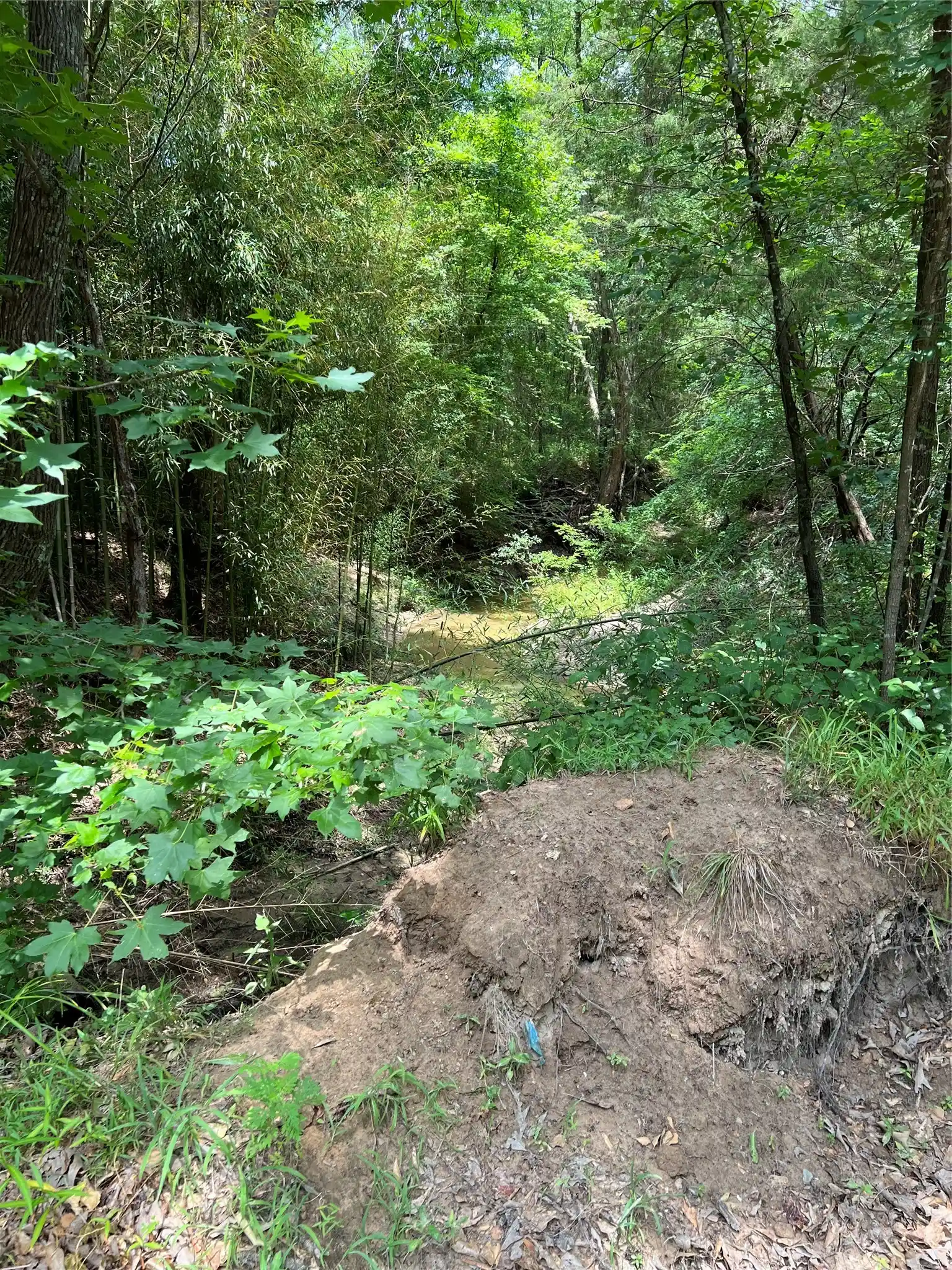 Photo 1 of Land for sale at 00 Cr 4131, Mount Vernon, TX 75457 | MLS# 20123463 | Listing updated on 2026-06-28