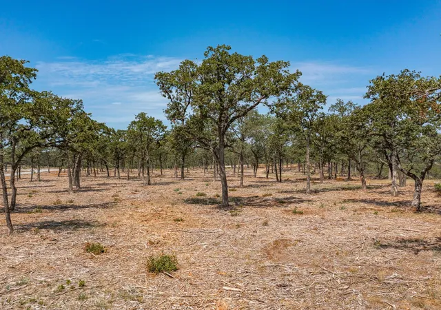 Photo 3 of Land for sale at Lot 12 Choate, Bowie, TX 76230 | MLS# 20125650 | Listing updated on 2026-08-17