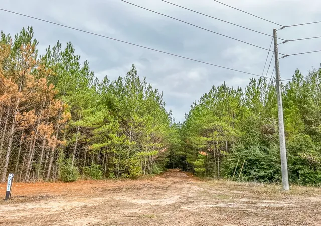 Photo 2 of Land for sale at 06 Cr 2305 S, Cleveland, TX 77327 | MLS# 20237462 | Listing updated on 2026-07-17