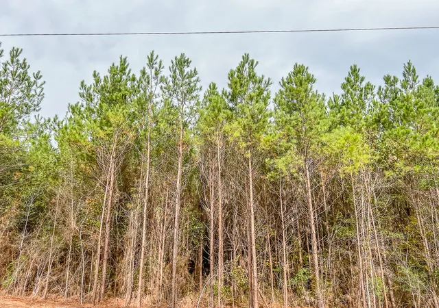 Photo 3 of Land for sale at 07 Cr 2305 S, Cleveland, TX 77327 | MLS# 20237920 | Listing updated on 2026-07-17