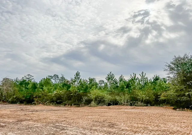 Photo 4 of House for sale at 07 Cr 2305 S, Cleveland, TX 77327 | MLS# 20237920 | Listing updated on 2026-07-17