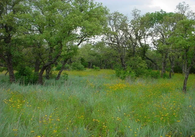 Photo 1 of Land for sale at 6h Stagecoach Trl, Gordon, TX 76453 | MLS# 20247678 | Listing updated on 2026-07-13