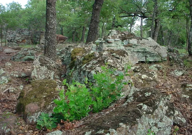 Photo 3 of Land for sale at 6H Stagecoach Trl, Gordon, TX 76453 | MLS# 20247678 | Listing updated on 2026-07-13