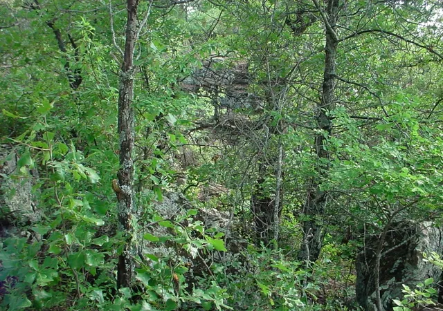 Photo 4 of Land for sale at 6H Stagecoach Trl, Gordon, TX 76453 | MLS# 20247678 | Listing updated on 2026-07-13