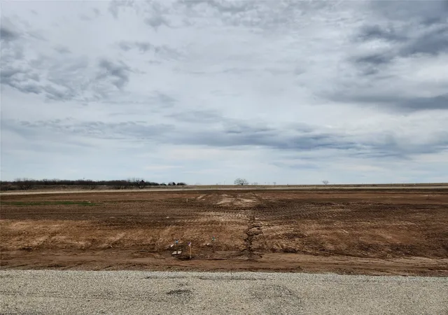 Land for sale at 165 Lonicera Ln, Paradise, TX 76073 | MLS# 20258385