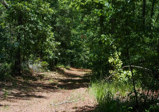 Photo 3 of Land for sale at 000 County Road 434, Lindale, TX 75771 | MLS# 20284183 | Listing updated on 2026-08-17