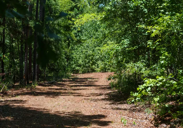 Photo 3 of Land for sale at 000 County Road 434, Lindale, TX 75771 | MLS# 20284183 | Listing updated on 2026-08-17