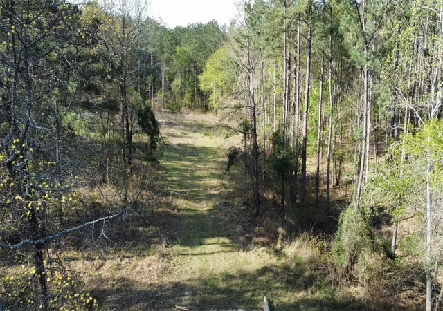 Photo 4 of Land for sale at 000 County Road 434, Lindale, TX 75771 | MLS# 20284183 | Listing updated on 2026-08-17