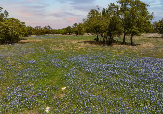 Homes for sale in Iredell, TX | Tbd County Road 2140, Iredell, TX 76649 | MLS# 20295586