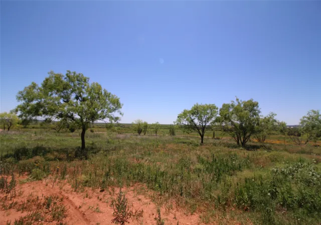 Homes for sale in Tuscola, TX | Lot 6 Marshal Trl, Tuscola, TX 79562 | MLS# 20310594